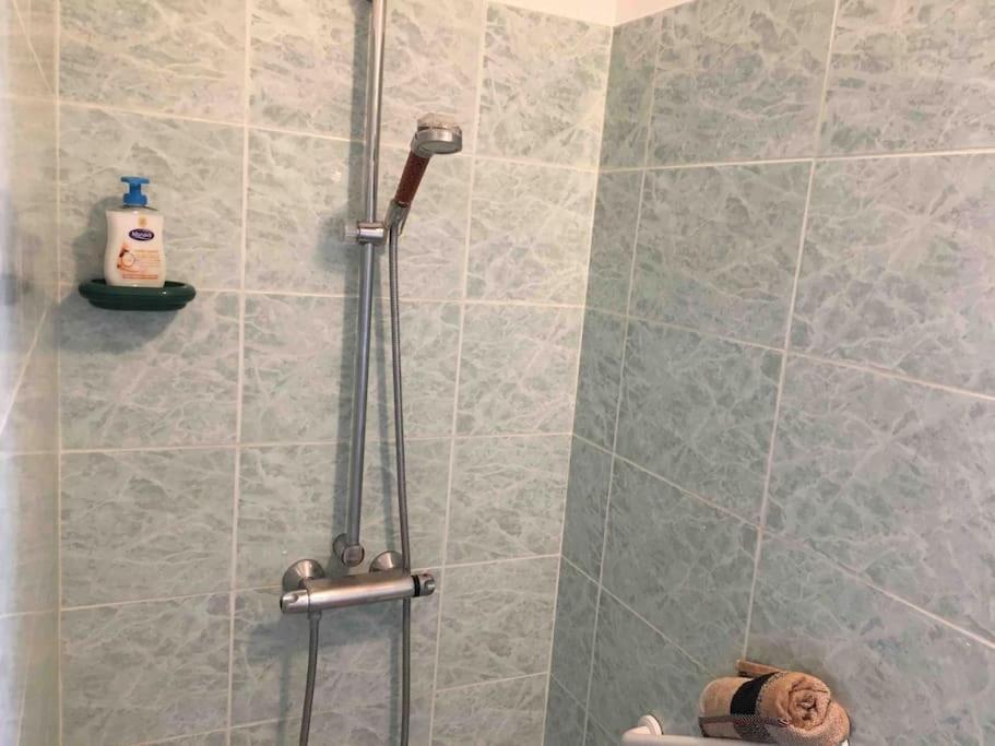 Appartement 55M2 En Beaujolais & Enedis A 15 Min Saint-Germain-Nuelles Εξωτερικό φωτογραφία