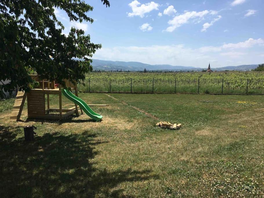 Appartement 55M2 En Beaujolais & Enedis A 15 Min Saint-Germain-Nuelles Εξωτερικό φωτογραφία
